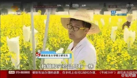 曝大學生實驗田油菜花被游客摘 或無法畢業(圖)