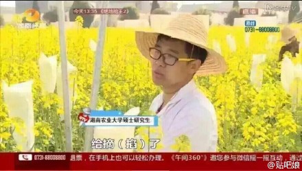 曝大學生實驗田油菜花被游客摘 或無法畢業(圖)