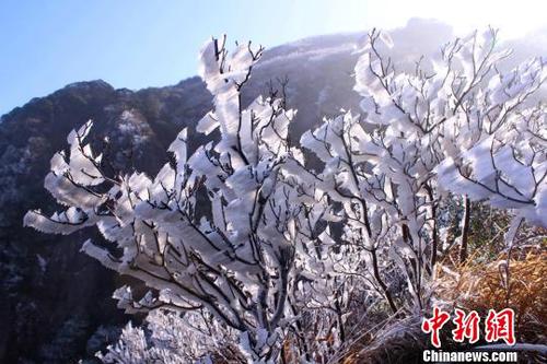 新一輪降溫致廣東金子山再現冰雪美景（圖）