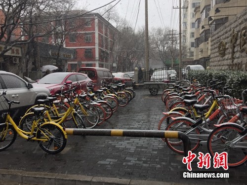 風雪中的共享單車。<a target='_blank' href='http://www.chinanews.com/' >中新網</a> 吳濤 攝