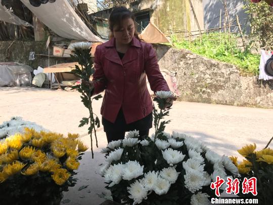 圖為市民挑選鮮花為祭掃做準備。　鐘旖 攝