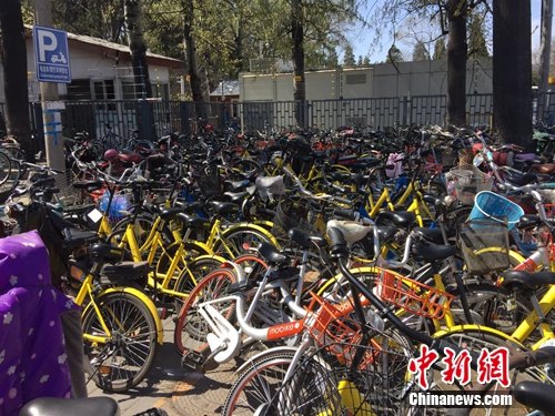 資料圖：頤和園附近的一處停車點堆滿共享單車。<a target='_blank' href='http://www.chinanews.com/' >中新網</a> 吳濤 攝