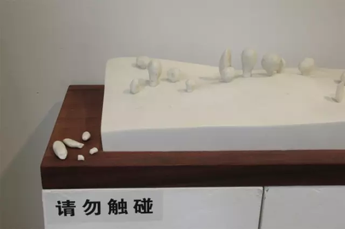 畢業展作品被盜皮皮蝦也遭殃 學生貼26個勿觸碰