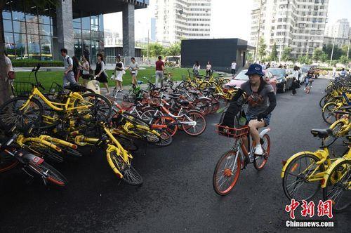 8月3日，北京街頭的共享單車。<a target='_blank' href='http://www.chinanews.com/'>中新社</a>記者 侯宇 攝