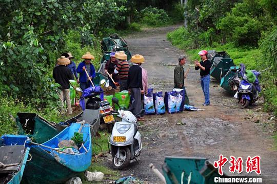 臺風“卡努”致廣東湛江直接經濟損失逾8億元