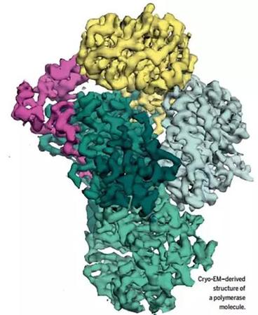 《科學》年度突破:中國小組冷凍電鏡技術獲進展