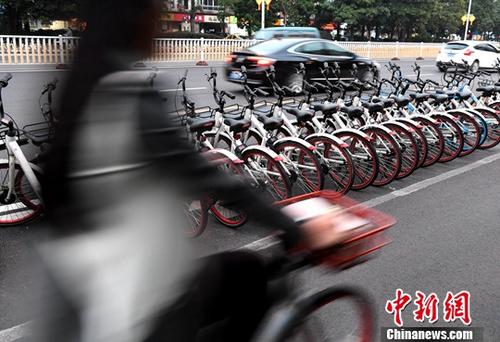 資料圖：市民騎著共享單車出行。<a target='_blank' href='http://www.chinanews.com/'>中新社</a>記者 張斌 攝