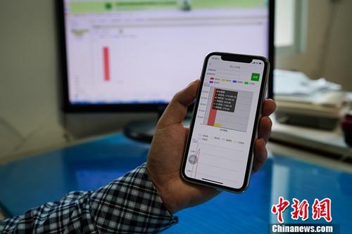 資料圖：民眾使用手機上網。<a target='_blank' href='http://www.chinanews.com/'>中新社</a>記者 賀俊怡 攝