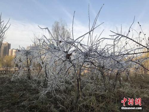 點擊進入下一頁