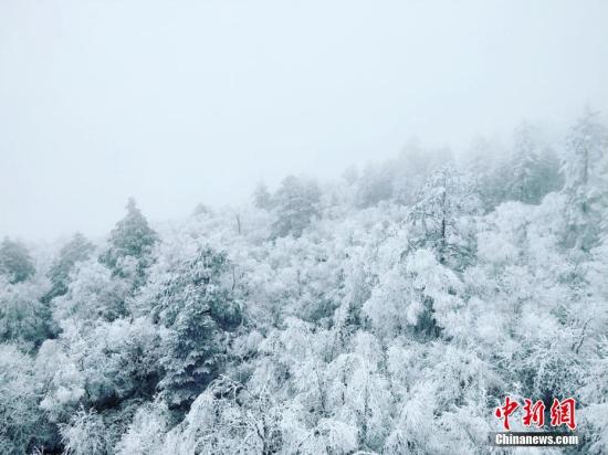 點擊進入下一頁