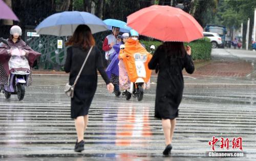 資料圖：2018年11月，福州市民在雨中出行。張斌 攝