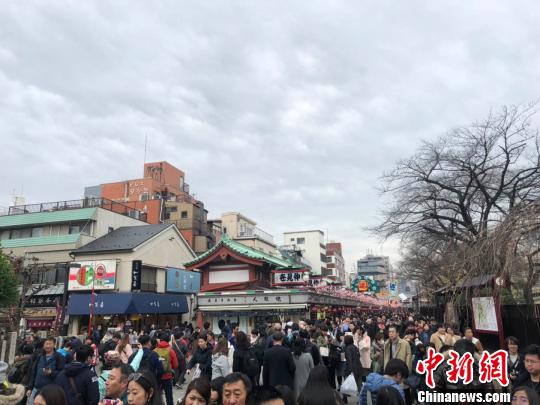 春季出境游升溫原產地“打卡”、“種太陽”之旅等受追捧