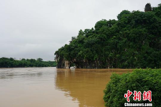 圖為桂林城徽象鼻山被淹。　唐夢憲 攝